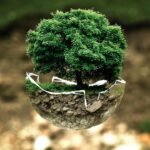 Environmental Considerations in Selecting Repair Techniques for Green Building Maintenance